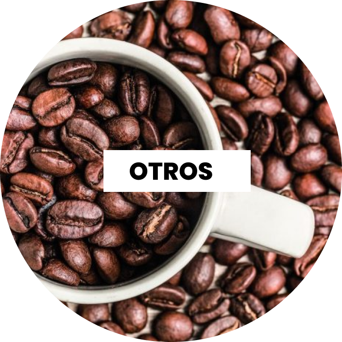 Harlem Almacén Saludable