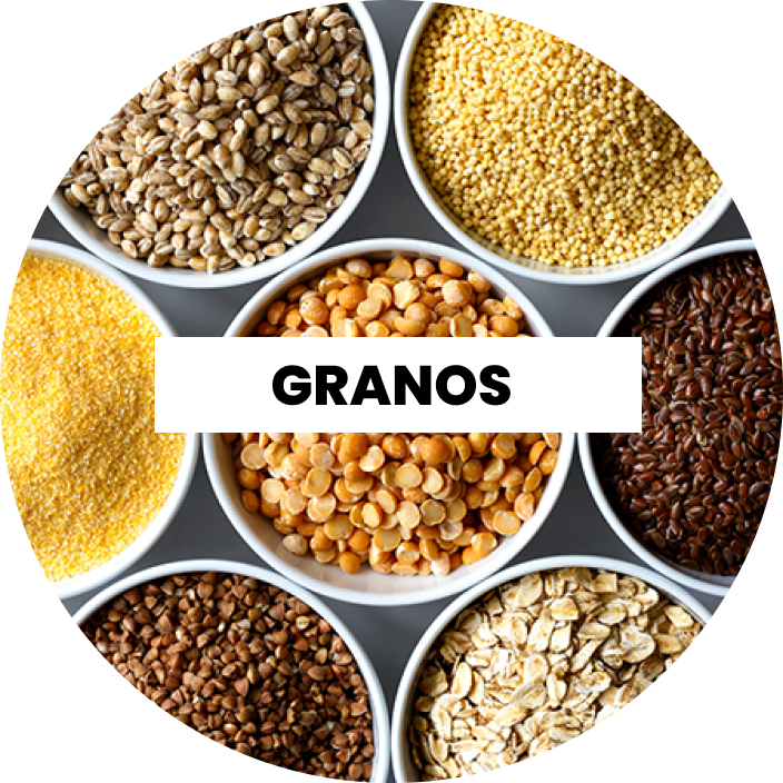 Harlem Almacén Saludable